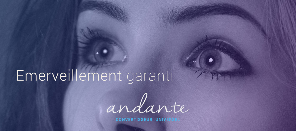 header_andante